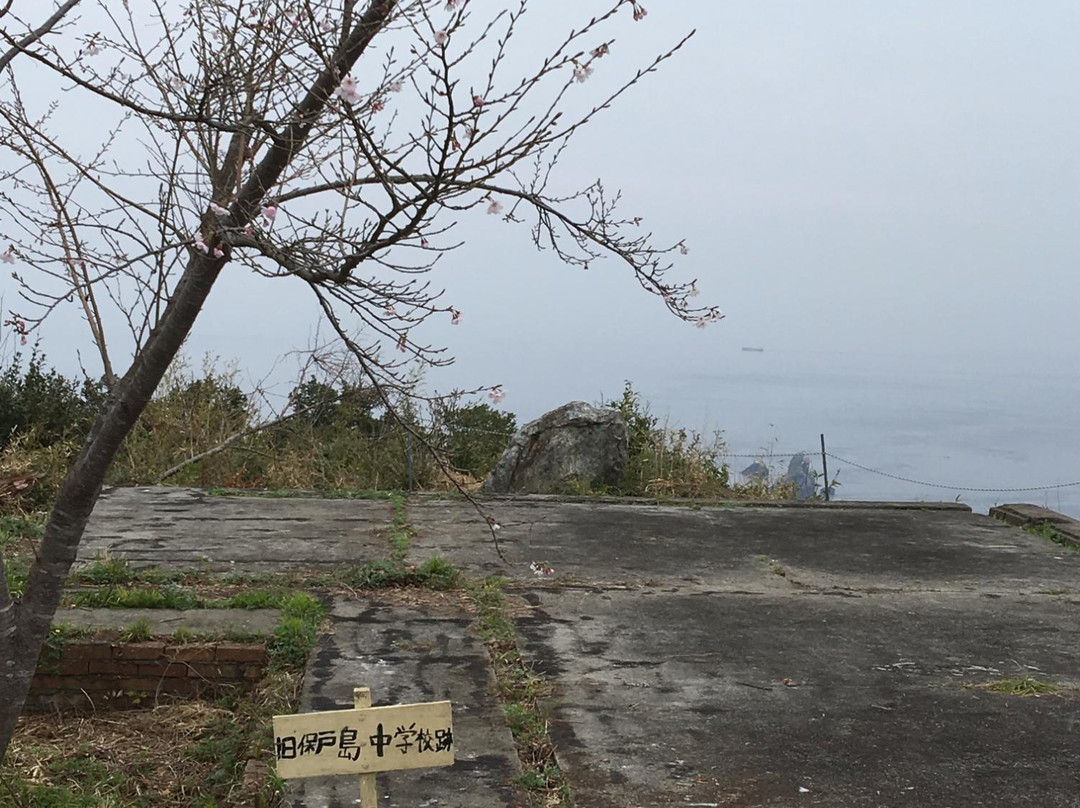 Mount Tomi景点图片