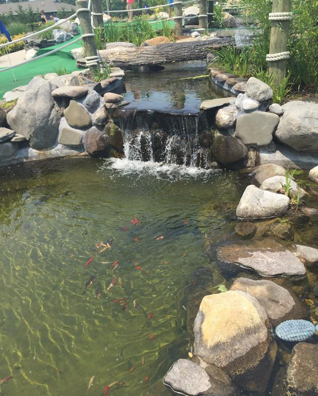 Sayville Falls Mini Golf-Sayville必去景点