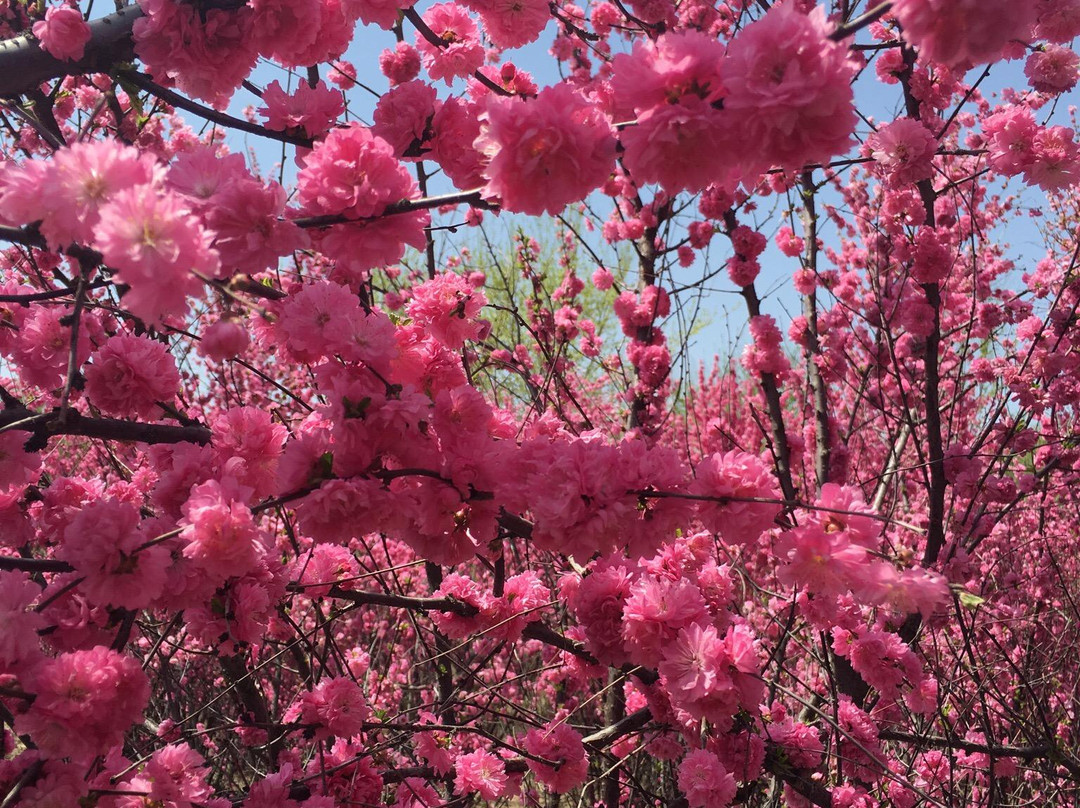 南湖湿地公园-呼和浩特市必去景点