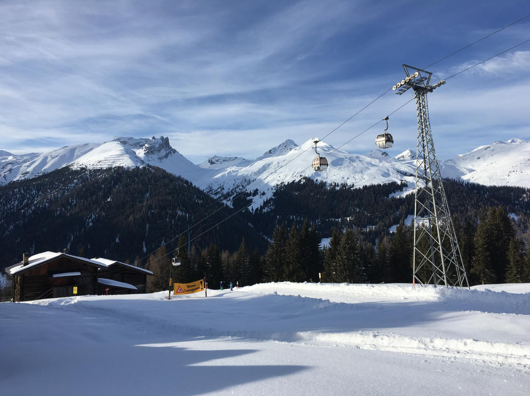 Rinerhorn