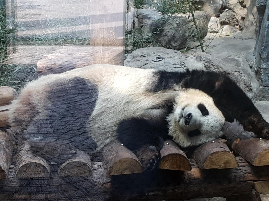 北京濒危动物中心-北京市必去景点