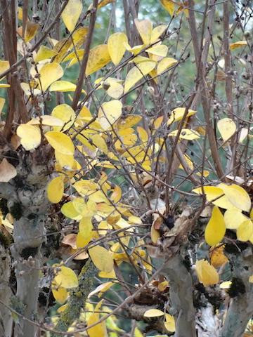 Eglise Saint-Germe d’Ayros-Ayros-Arbouix必去景点