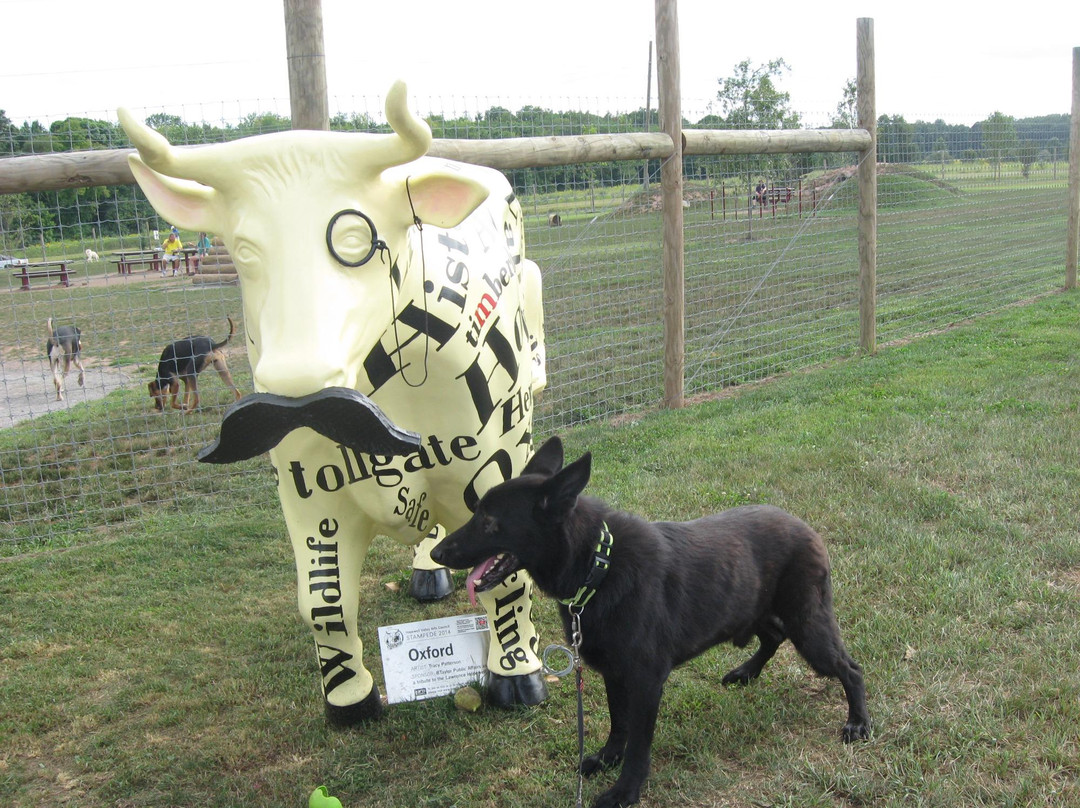 Rosedale Park-Hopewell必去景点