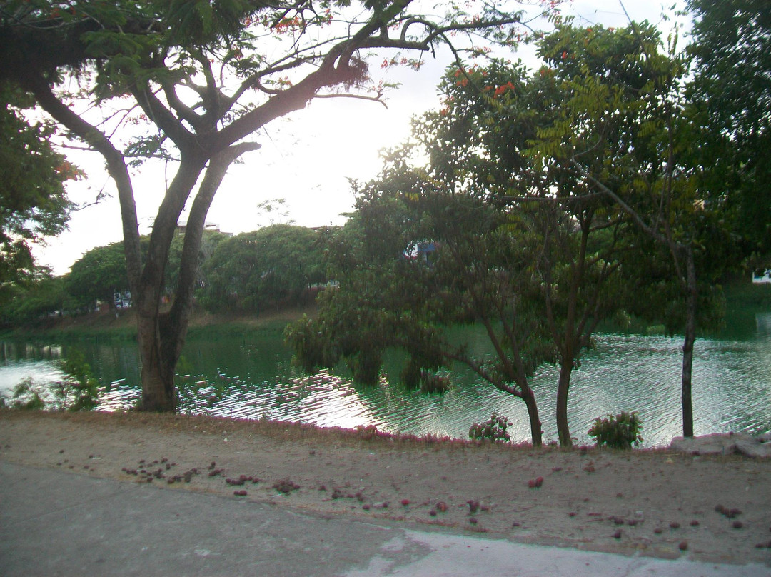 Cachoeira River-Itabuna必去景点