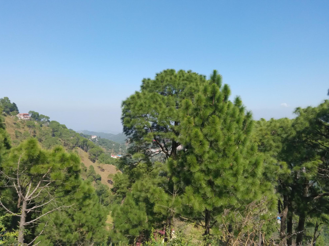 Monkey Point-Kasauli必去景点