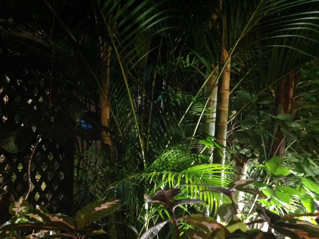 Casa Hospedaje Colonial Los Vitrales主图