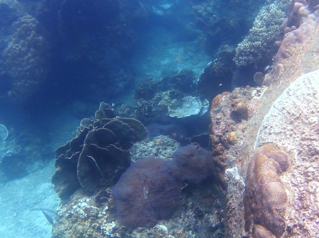 Lighthouse Bay-涛岛必去景点