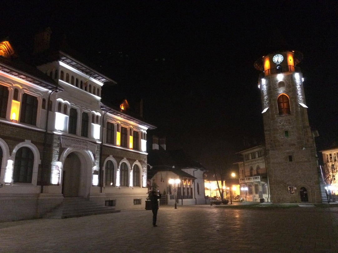Curtea Domneasca景点图片