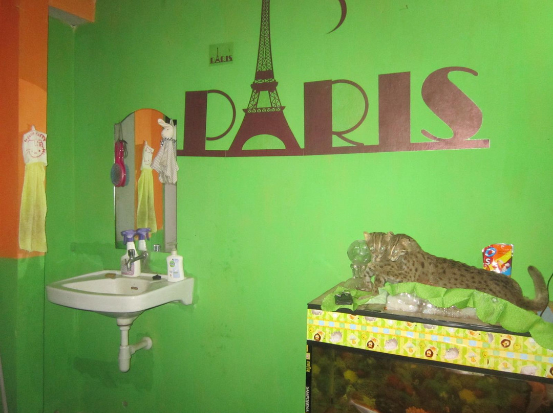 Kawah Ijen Inn主图