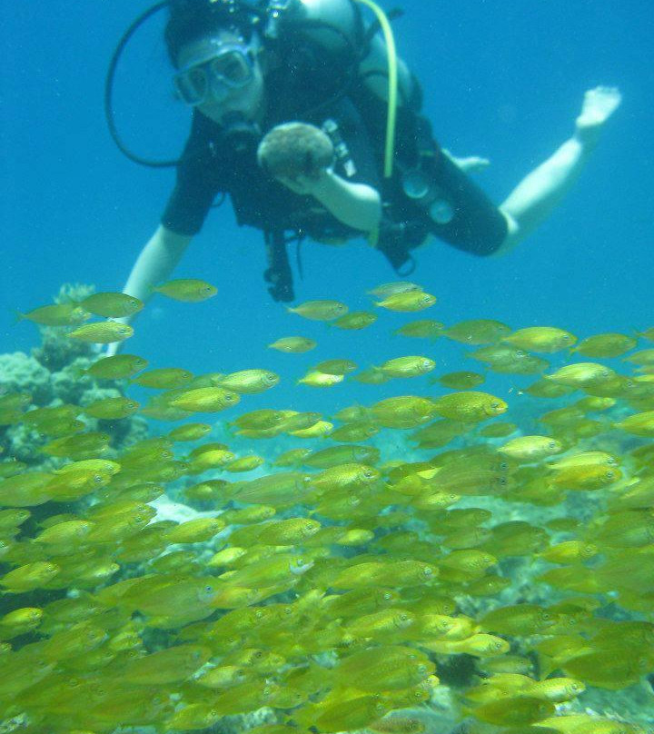 Bien Ngoc Travel - Day Tours-会安必去景点