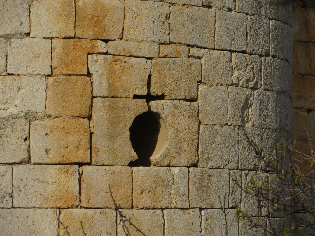 Castillo de Pioz景点图片