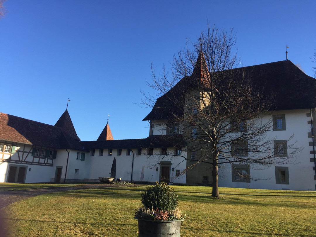 Schloss Schwarzenburg景点图片