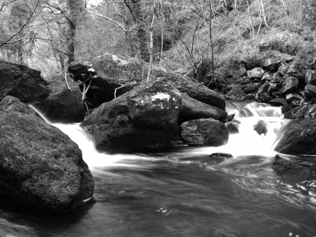 Sculptures in Woodland-Ashford必去景点