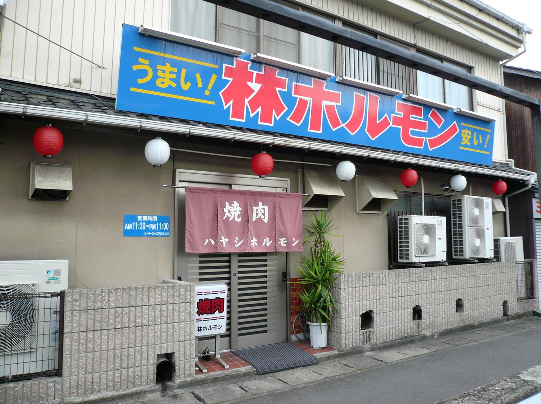 林ホルモン主图