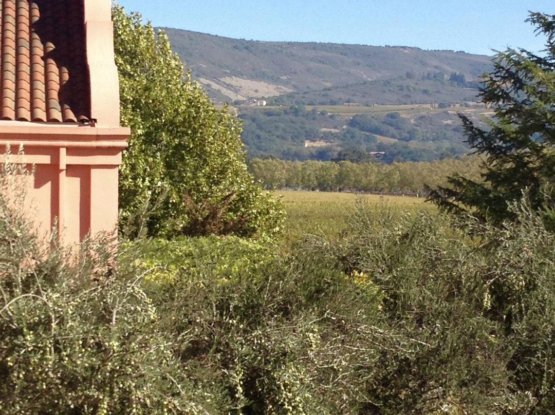 Groth Vineyards & Winery景点图片