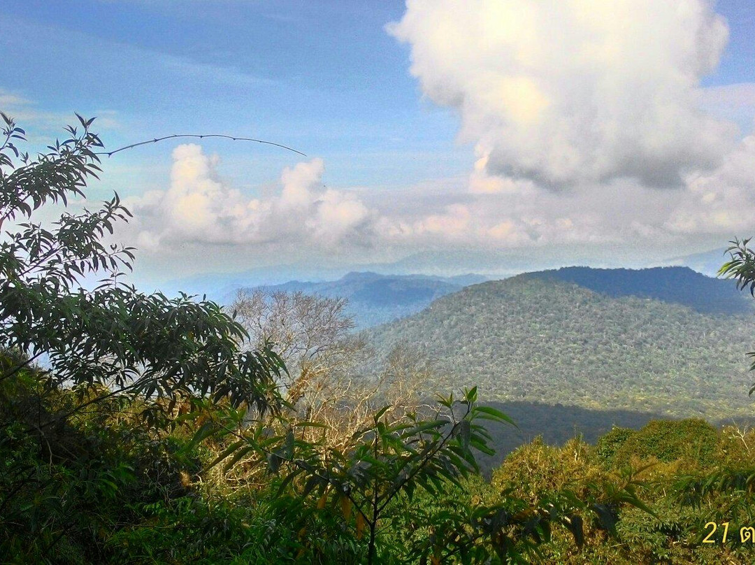 Phu Luang Wildlife Sanctuary景点图片