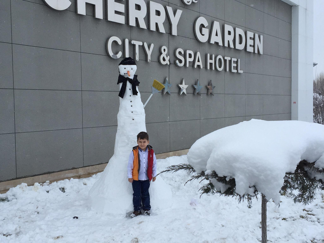 Cherry Garden City & Spa Hotel主图