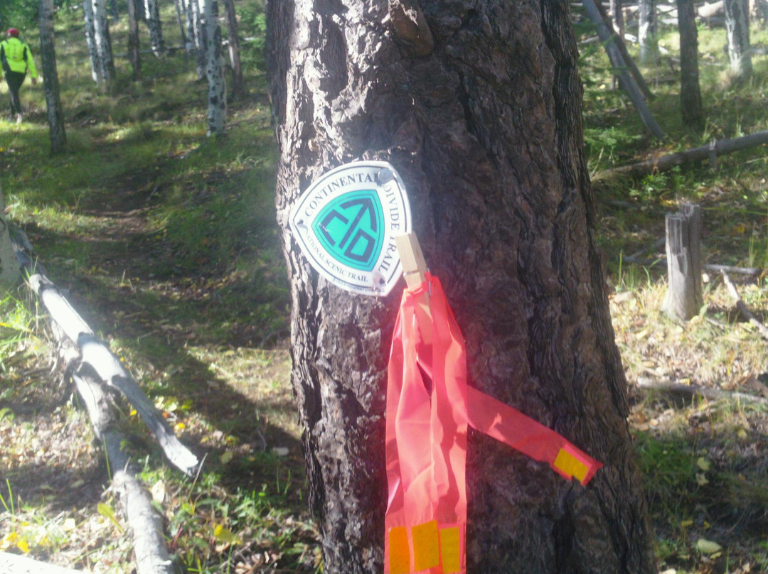 Mount Taylor-Grants必去景点