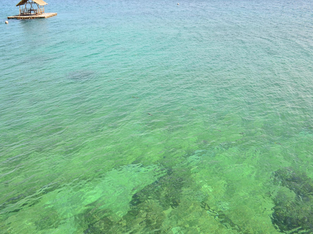 卡莫提斯飞鱼度假村主图