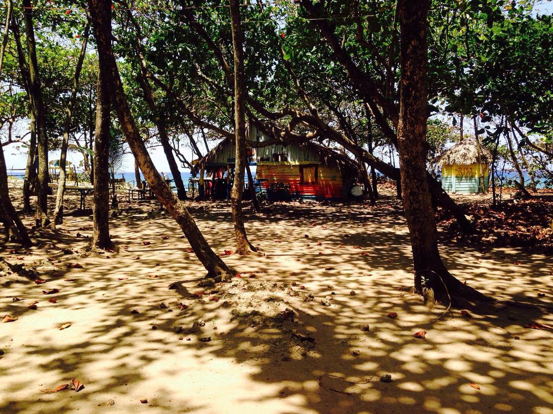 Bobo Surfs Up Surf School-喀巴里特必去景点