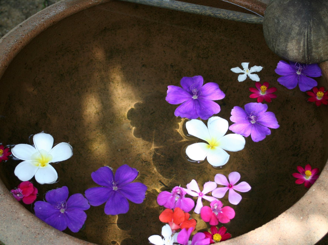 Vassana spa & beauty景点图片