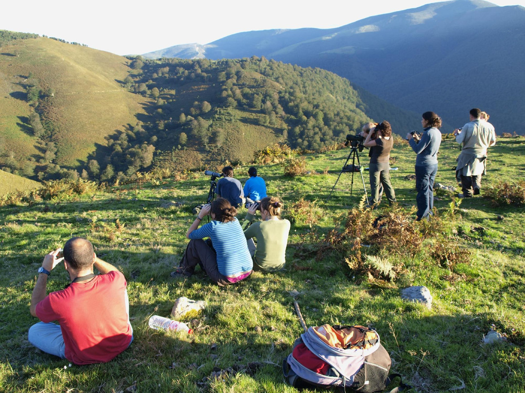 Naturea Cantabria-桑坦德必去景点