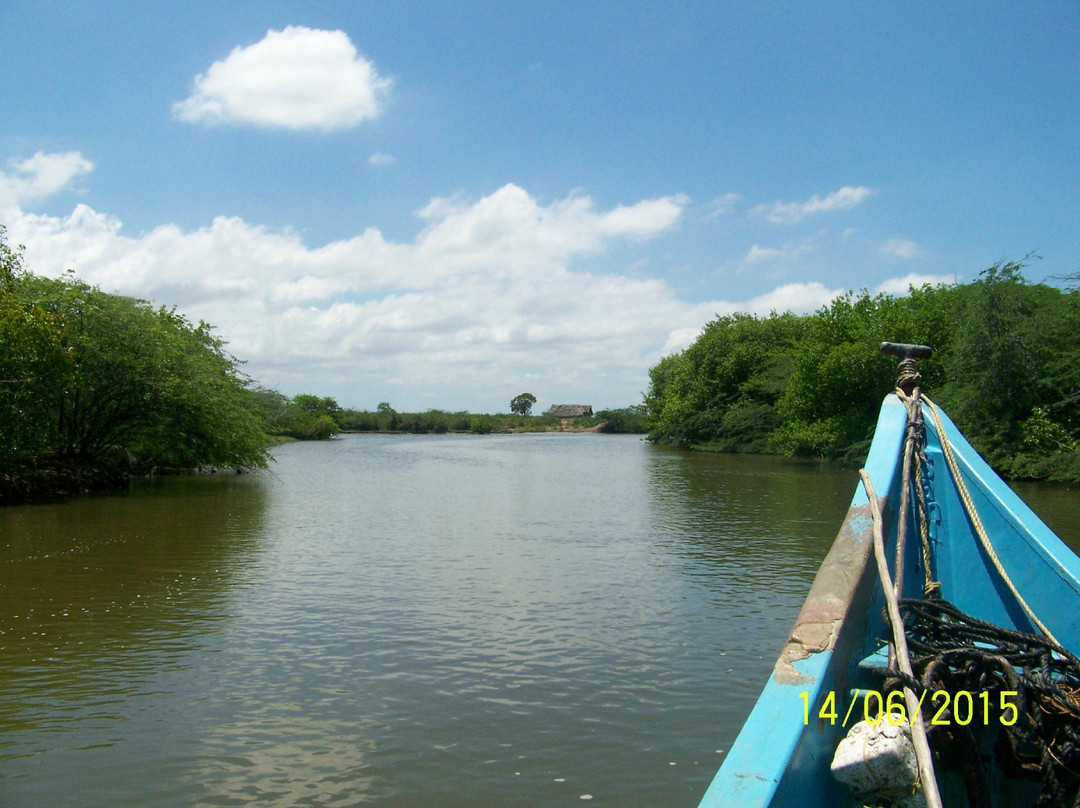 Muthupet Lagoon景点图片