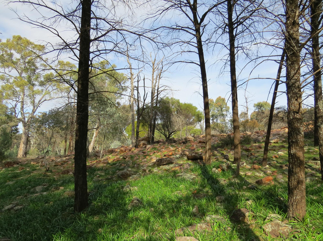 Wangara Lookout景点图片