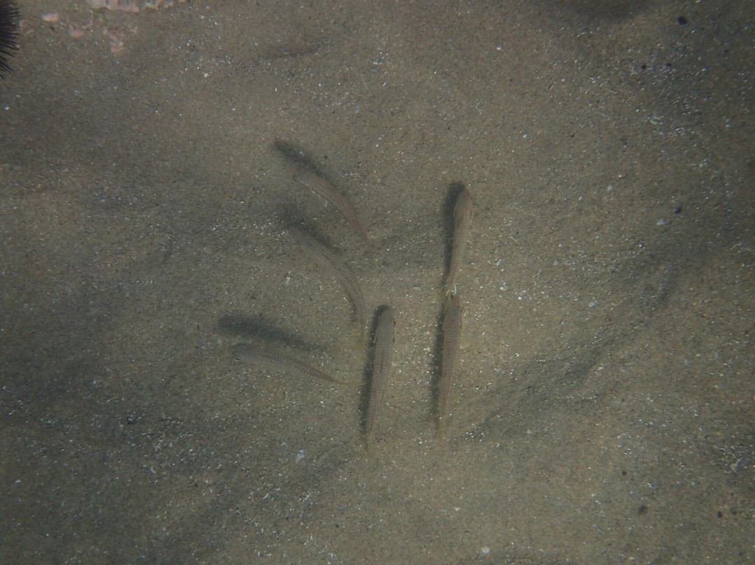 Le Sentier Sous Marin
