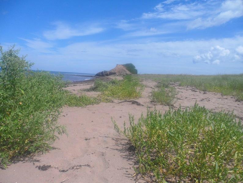 Waterside Beach Provincial Park-Pictou必去景点