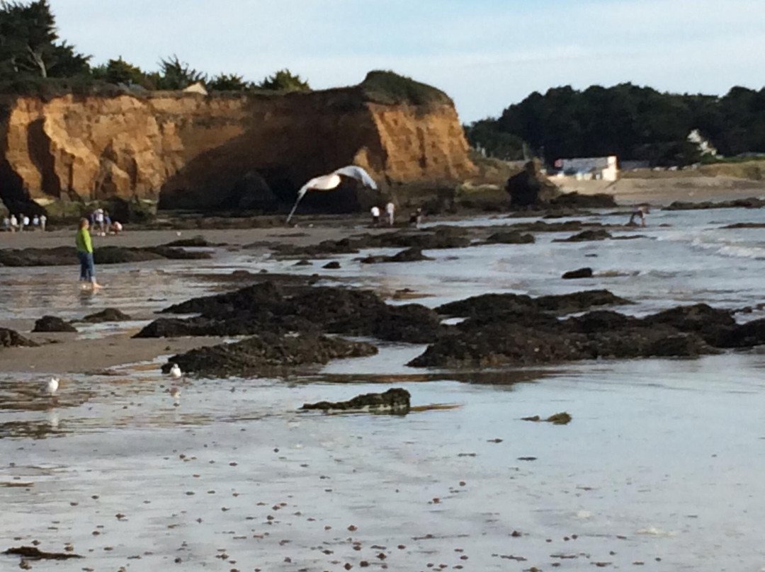 Plage de la Mine d'Or景点图片