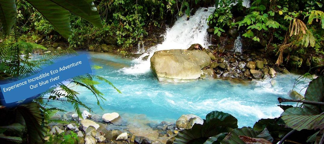 Guanacaste Tours and Transfers景点图片