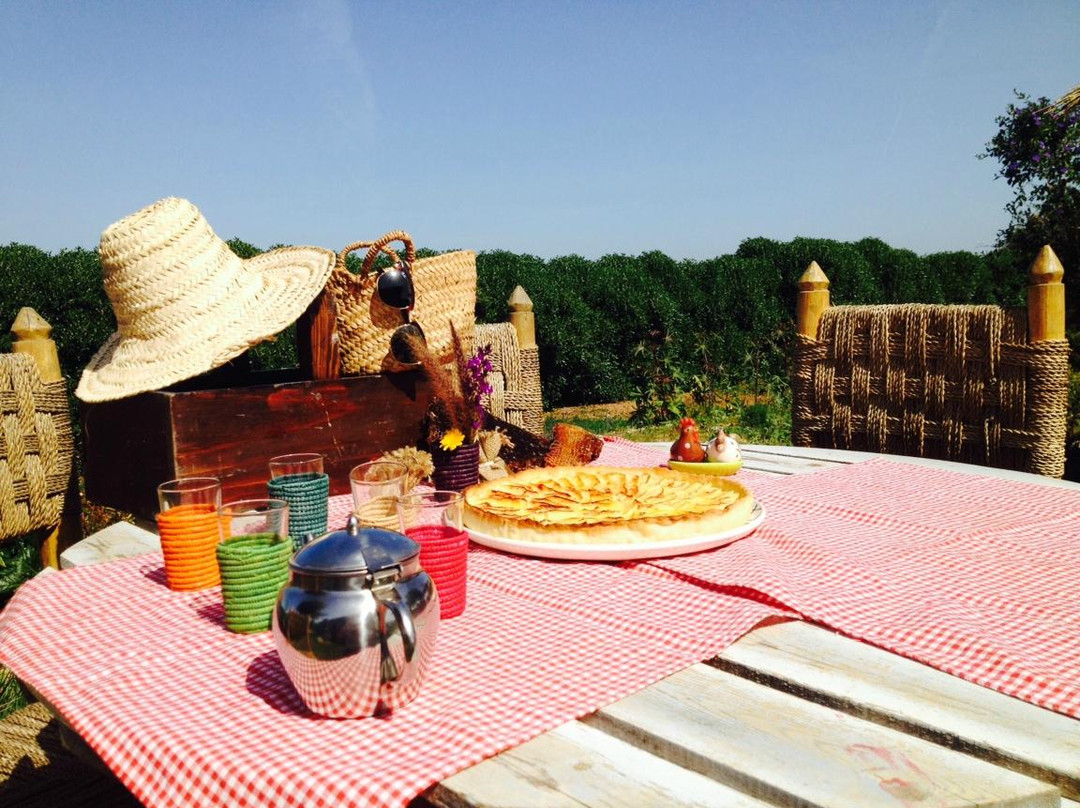 La Ferme Pédagogique-卡萨布兰卡必去景点