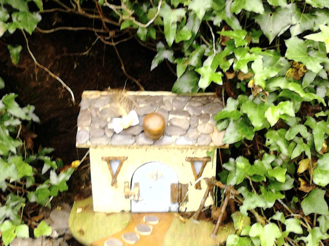 Irish Fairy Trails-Caherdaniel必去景点