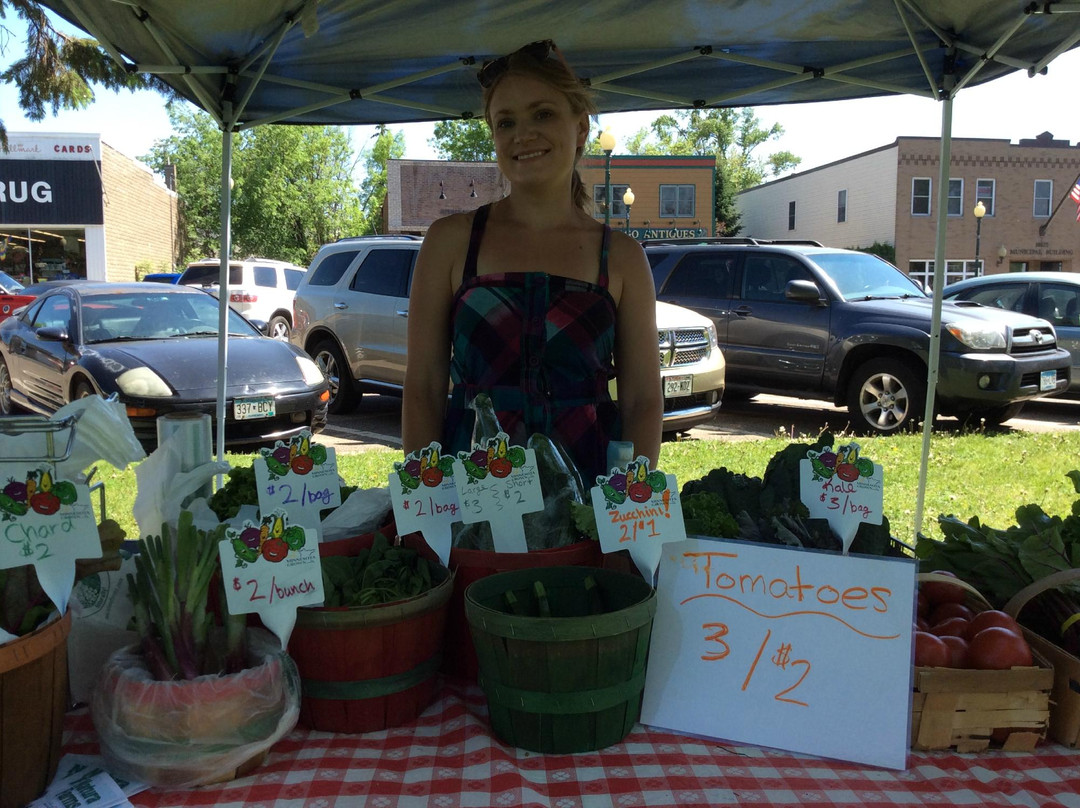 Chisago City Farmers Market-Chisago City必去景点