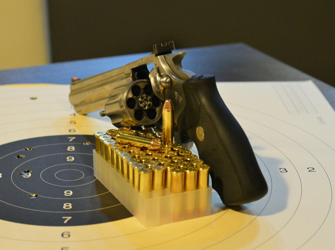 Tactical Shooting Range景点图片