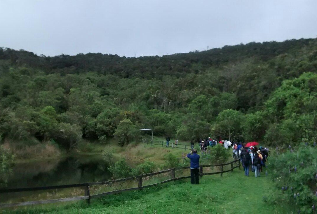Encenillos Biological Reserve景点图片