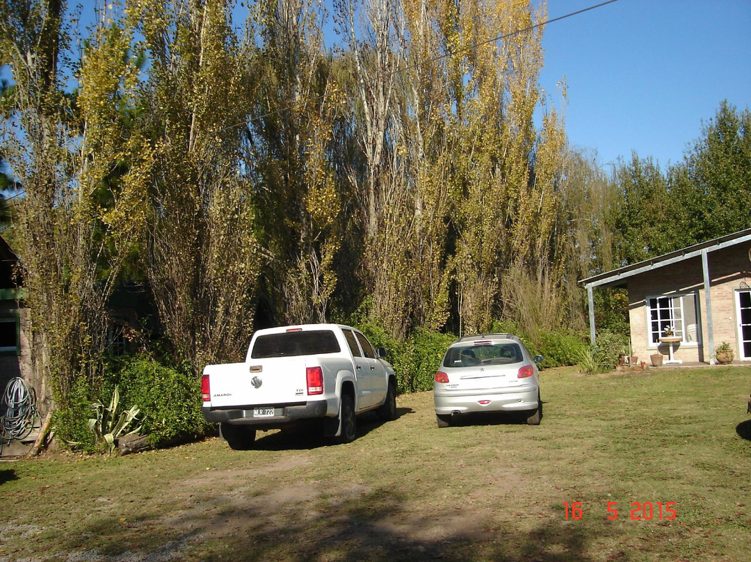 Falcone Parque Hotel主图