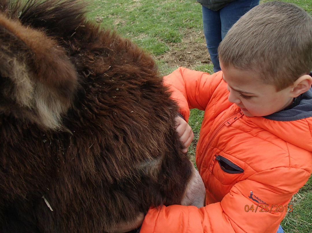 Sunrise Animal Sanctuary-马里斯维尔必去景点