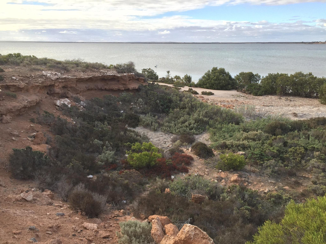 Encounter Walking Trail-Ceduna必去景点