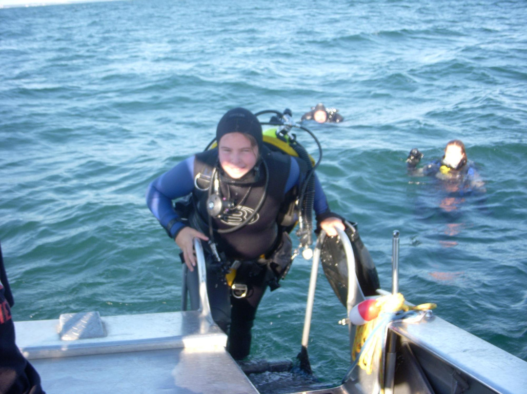Kingston Dive Charters Day Tours景点图片
