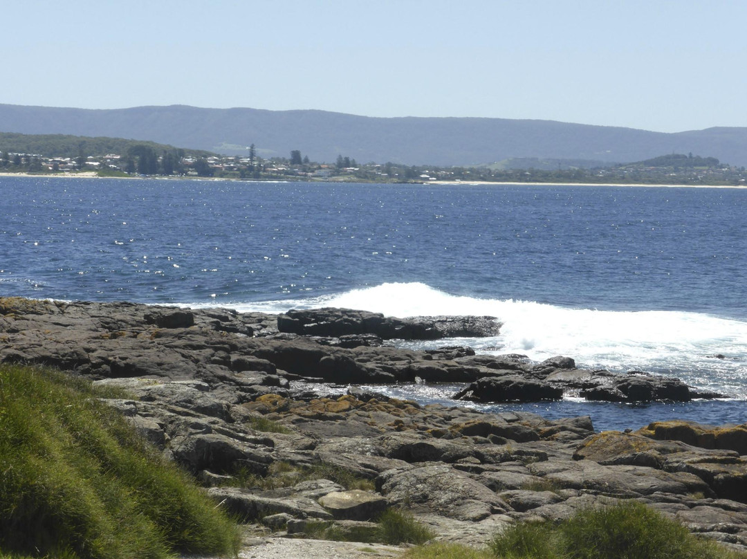 Bass Point Reserve-谢尔哈伯必去景点