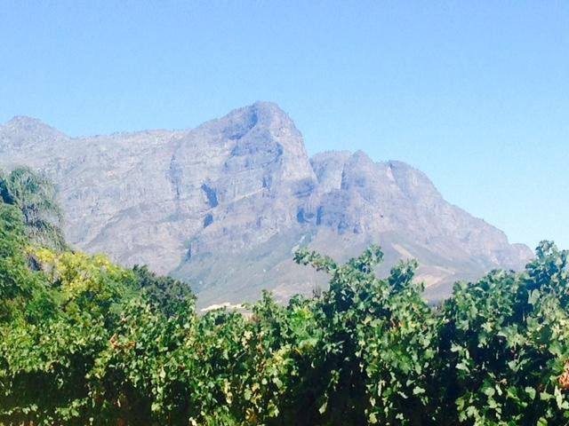 Lynx Wine-法兰舒克必去景点