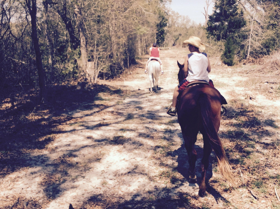 Rockin N Stables-塔拉哈西必去景点