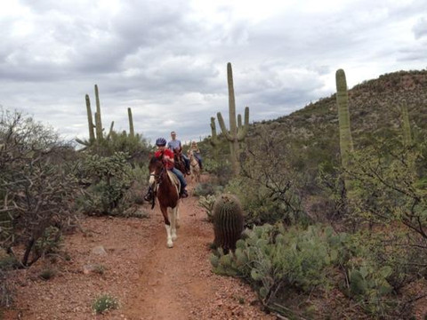 Rockin' Star Ranch-图森必去景点