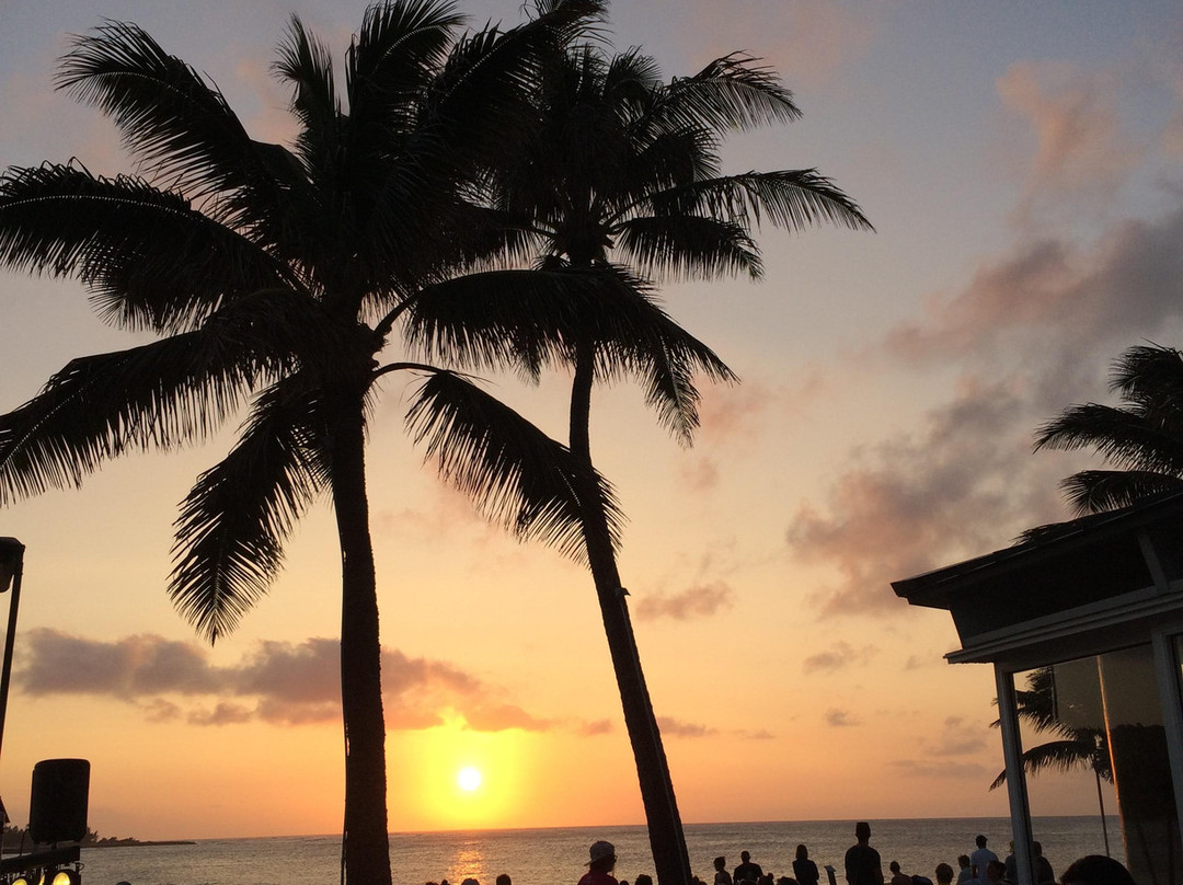 Turtle Bay Beach-卡胡库必去景点
