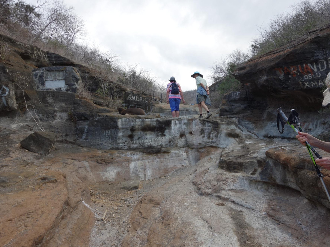 Tagus Cove-伊莎贝拉岛必去景点