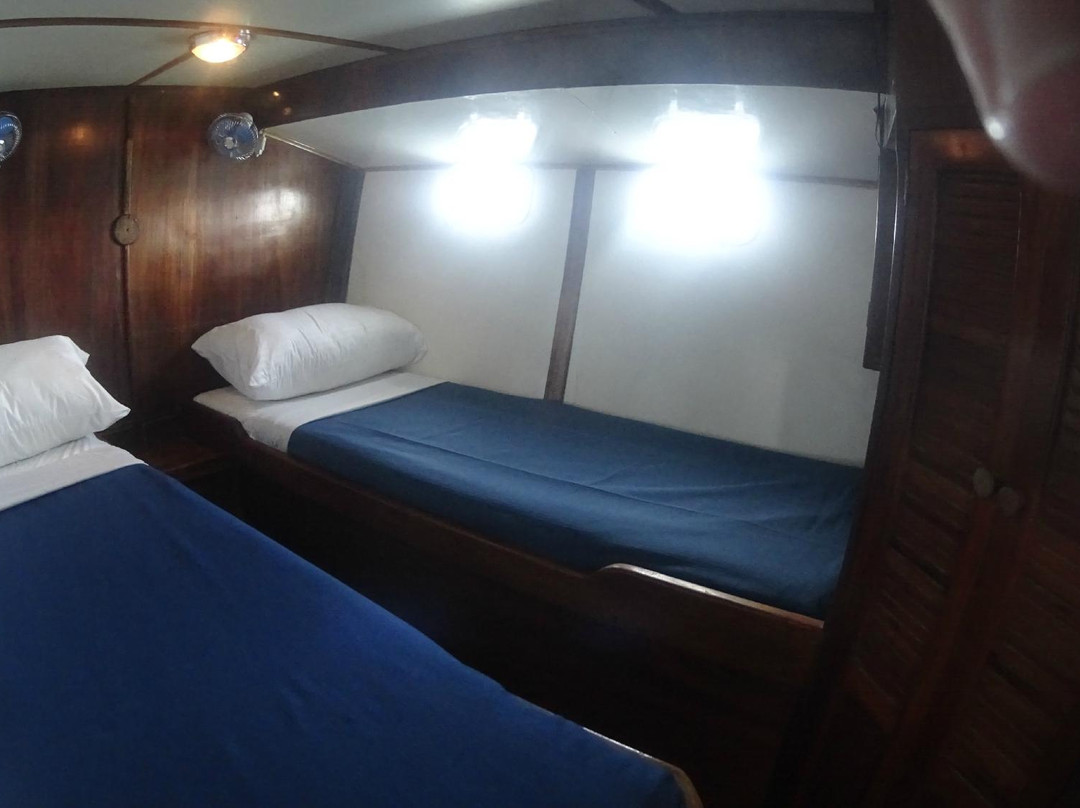 Single Fin Surf Charters-Playas del Coco必去景点