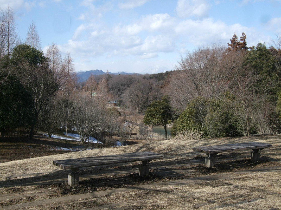 Nagaoka Park-宇都宫市必去景点