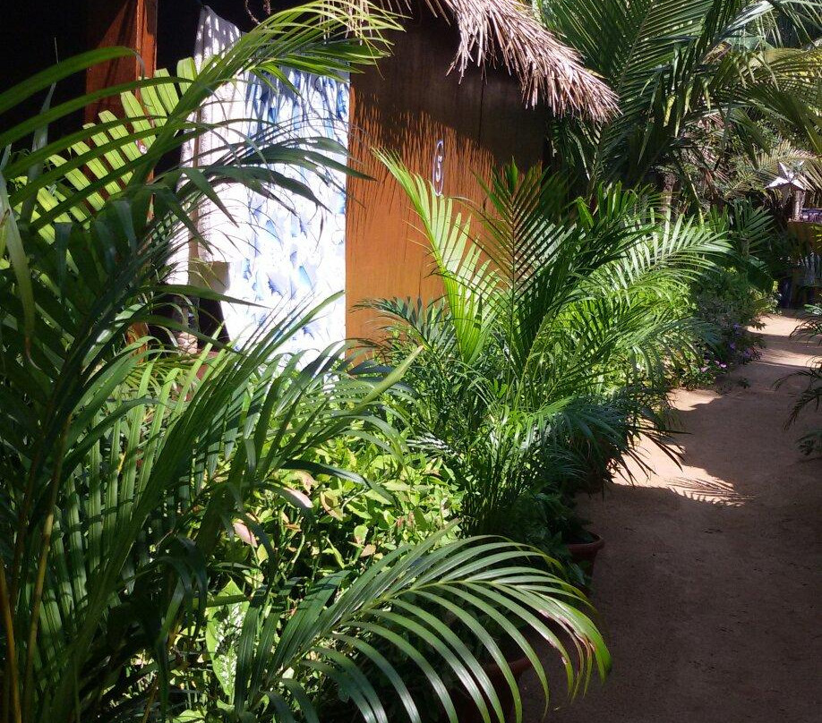 Madhu Coconut Beach Huts